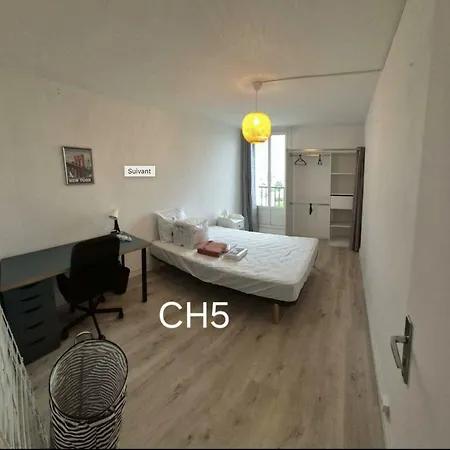 Prichambre Privee Dans Appartement Partage - Calme Et Lumineux - Proche Bordeaux- Talence - F2-6 タランス